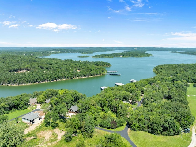 56 Northfork Ln, Shell Knob, MO 65747