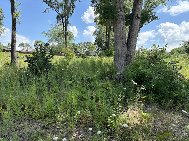 56 Northfork Ln, Shell Knob, MO 65747