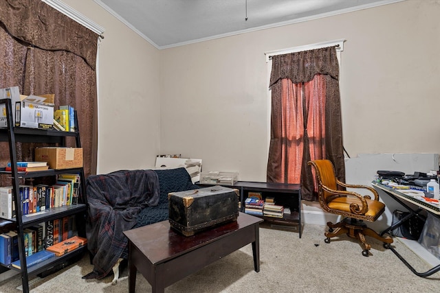 carpeted office space featuring crown molding