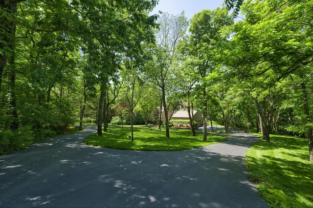 view of property's community featuring a yard