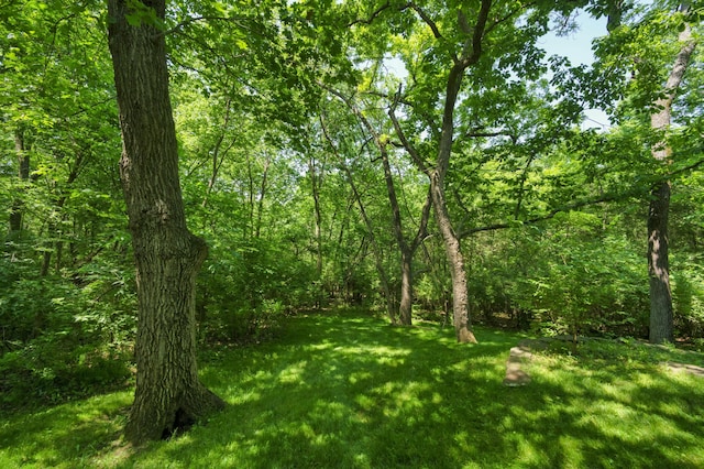 view of landscape