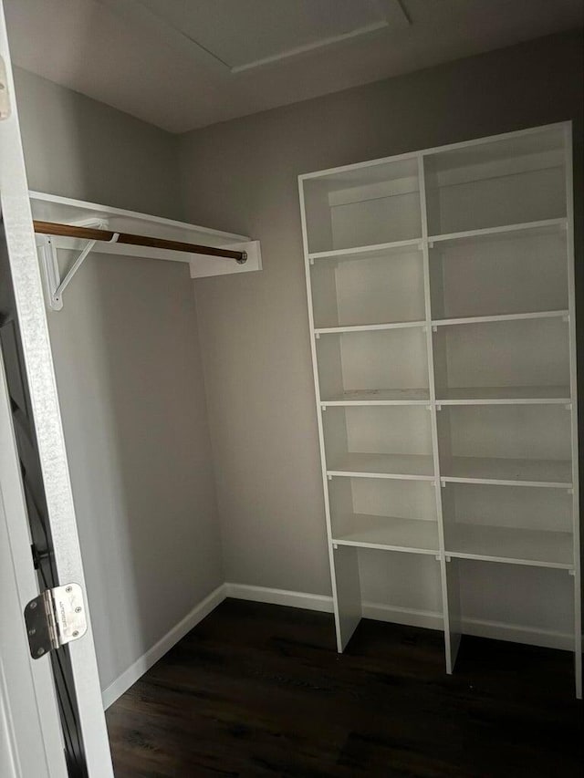 spacious closet featuring dark hardwood / wood-style floors