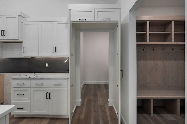 mudroom with dark hardwood / wood-style flooring