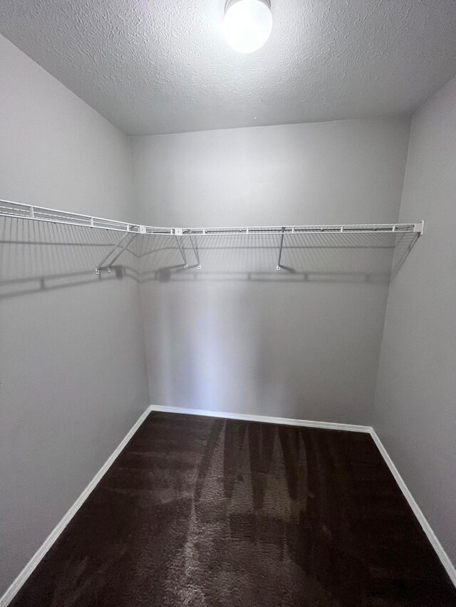 spacious closet featuring carpet floors