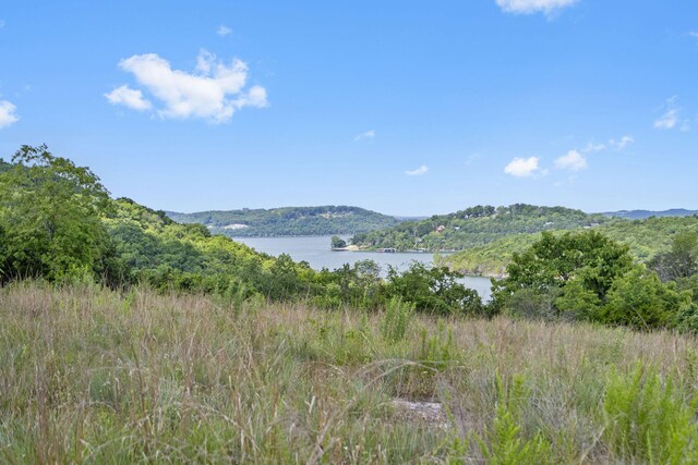 TBD Luke St, Branson West, MO 65737