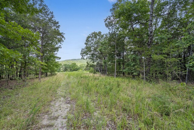 TBD Luke St, Branson West, MO 65737
