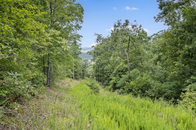 TBD Luke St, Branson West, MO 65737