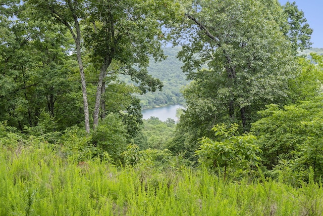 TBD Luke St, Branson West, MO 65737