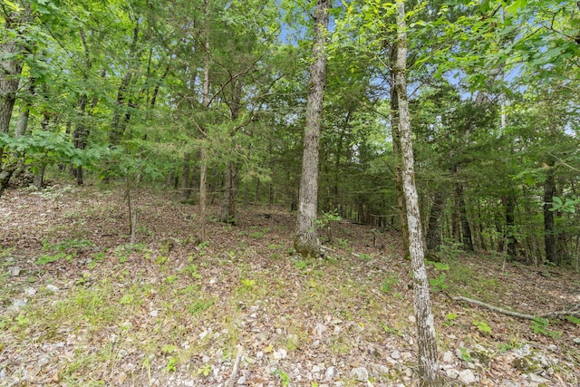 TBD Luke St, Branson West, MO 65737