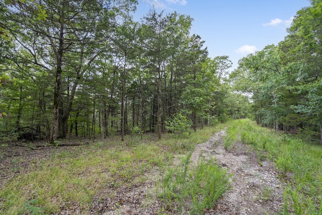 TBD Luke St, Branson West, MO 65737