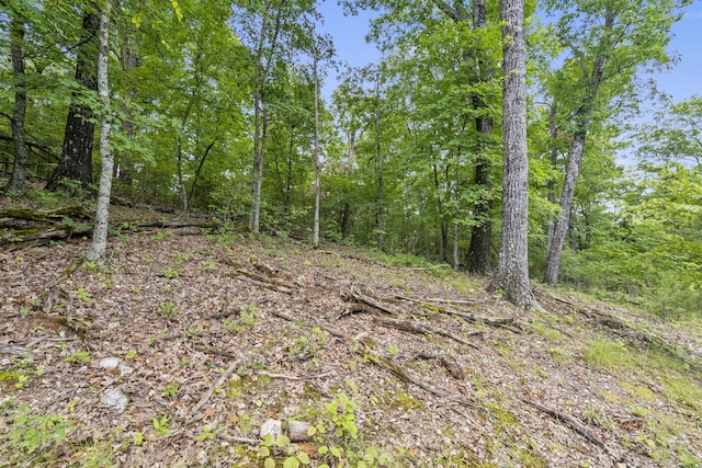 TBD Luke St, Branson West, MO 65737