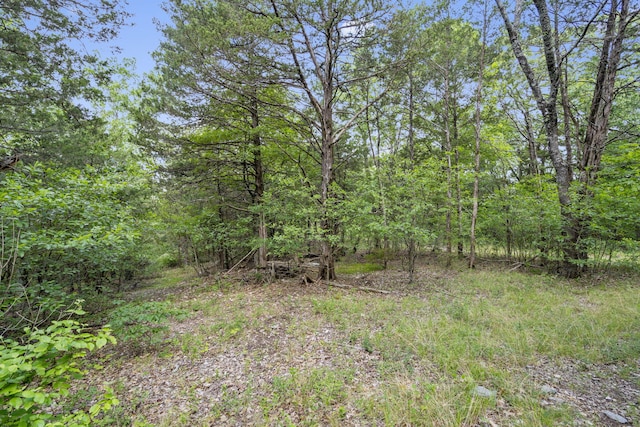 TBD Luke St, Branson West, MO 65737