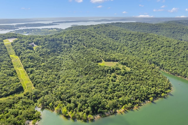 TBD Luke St, Branson West, MO 65737