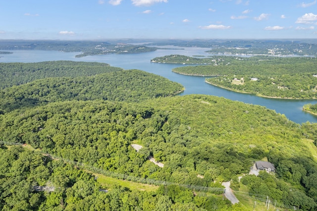 TBD Luke St, Branson West, MO 65737