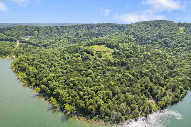 TBD Luke St, Branson West, MO 65737