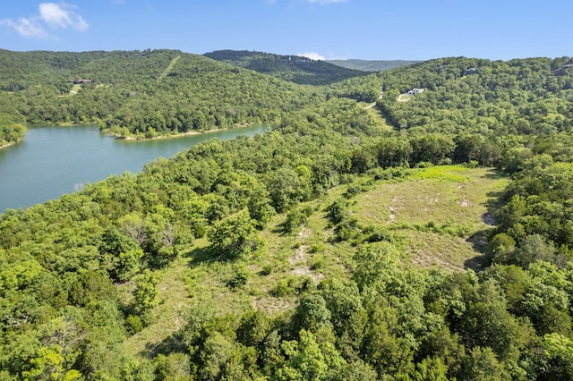 TBD Luke St, Branson West, MO 65737