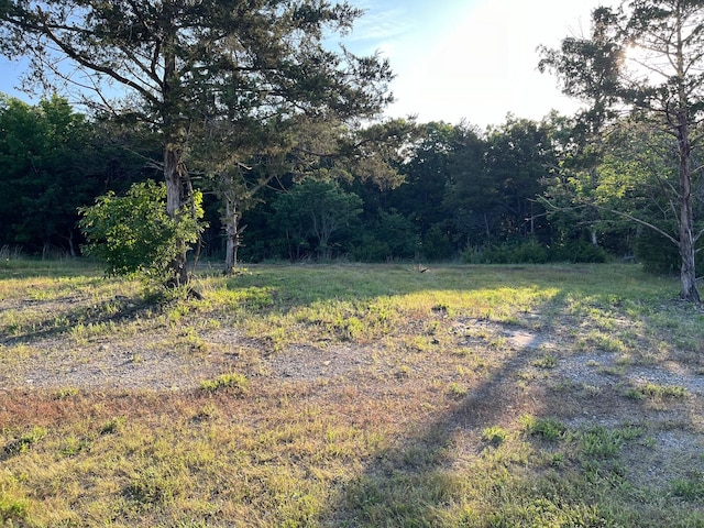 2141 Emory Creek Blvd, Branson, MO 65616