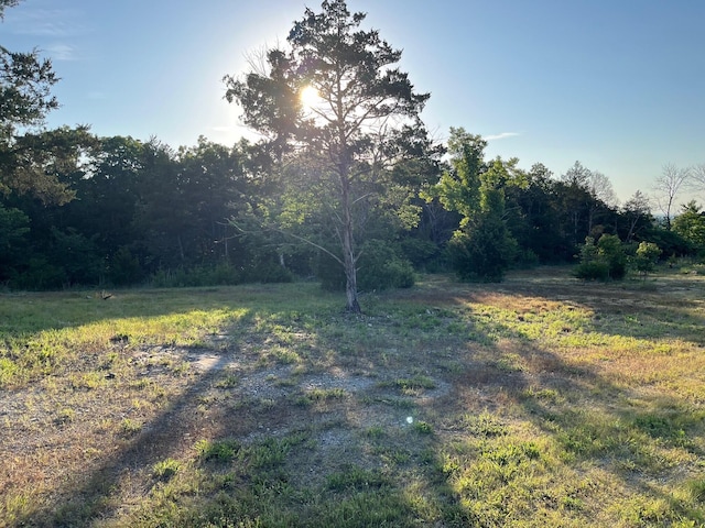 2141 Emory Creek Blvd, Branson, MO 65616