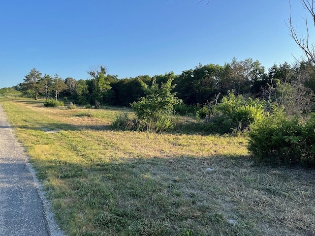 2141 Emory Creek Blvd, Branson, MO 65616