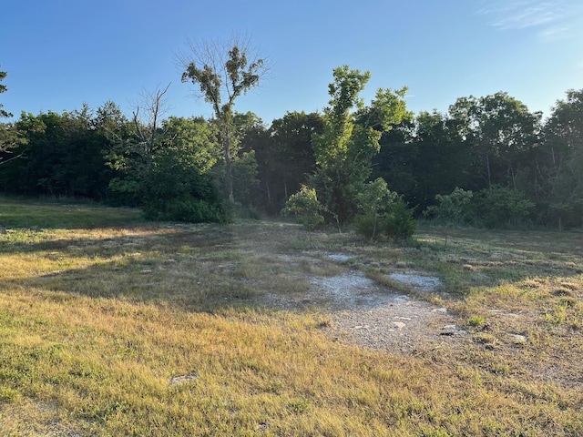2141 Emory Creek Blvd, Branson, MO 65616