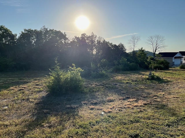 2141 Emory Creek Blvd, Branson, MO 65616