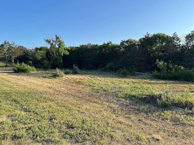 2141 Emory Creek Blvd, Branson, MO 65616