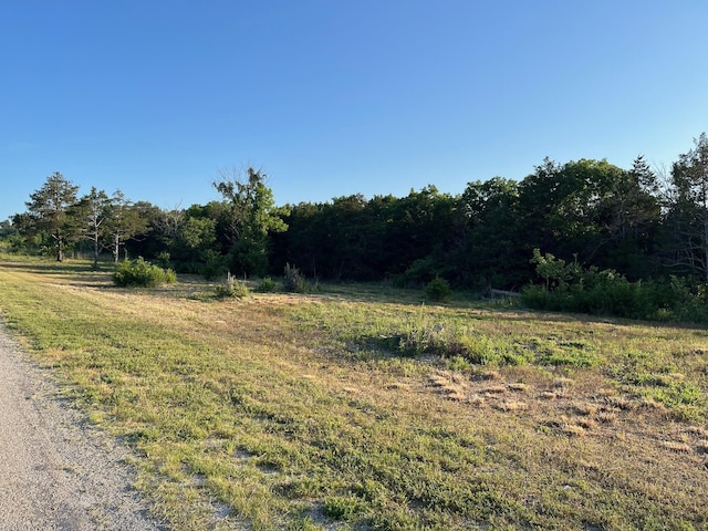 2141 Emory Creek Blvd, Branson, MO 65616