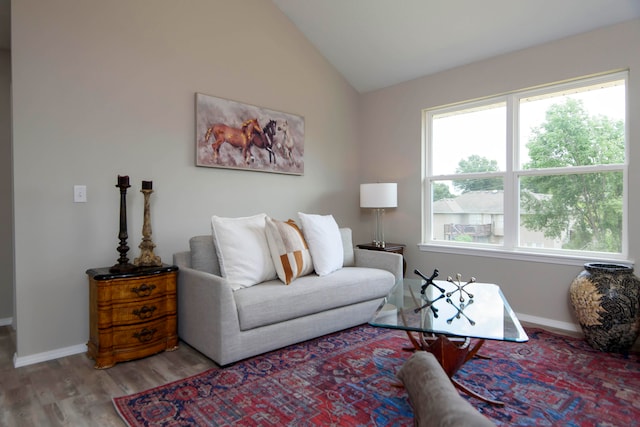 living room featuring hardwood / wood-style flooring and lofted ceiling