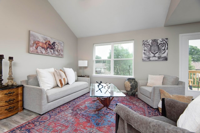 living room featuring hardwood / wood-style flooring and lofted ceiling