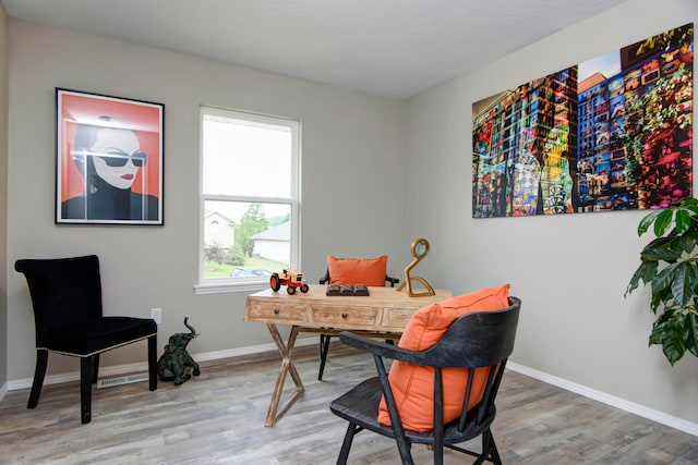 office space featuring wood-type flooring