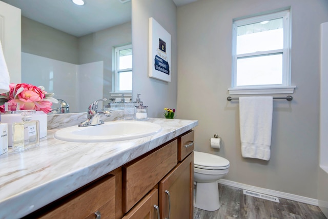 bathroom with wood-type flooring, vanity, and toilet