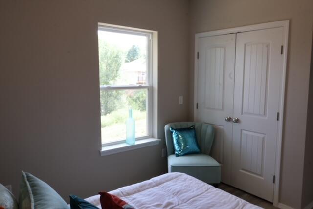 bedroom featuring multiple windows and a closet