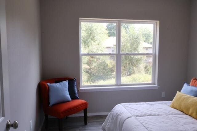 bedroom with multiple windows and hardwood / wood-style flooring