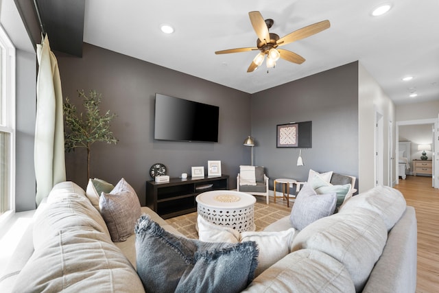 living room with light wood-type flooring and ceiling fan