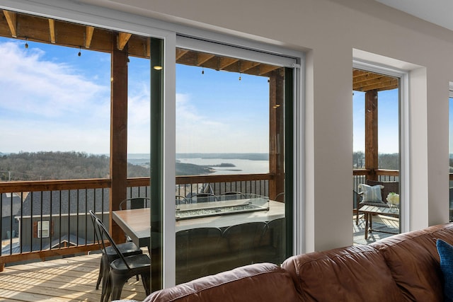 entryway featuring a water view and a wealth of natural light