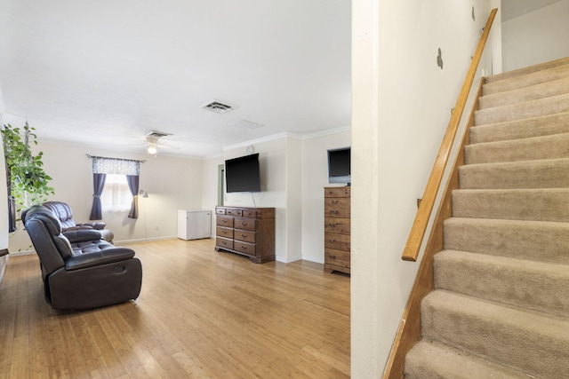living area featuring crown molding, stairs, ceiling fan, light wood finished floors, and visible vents