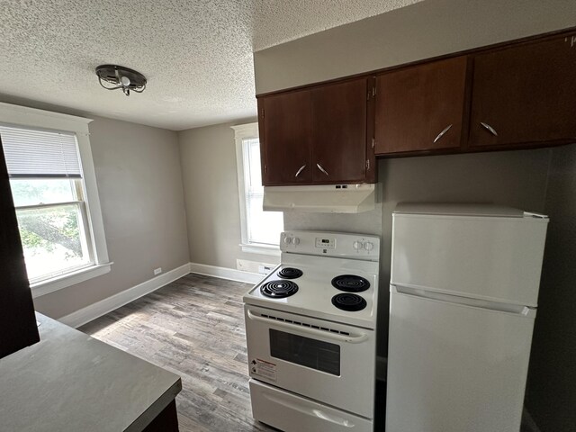 kitchen with white appliances, light hardwood / wood-style floors, dark brown cabinetry, and a wealth of natural light