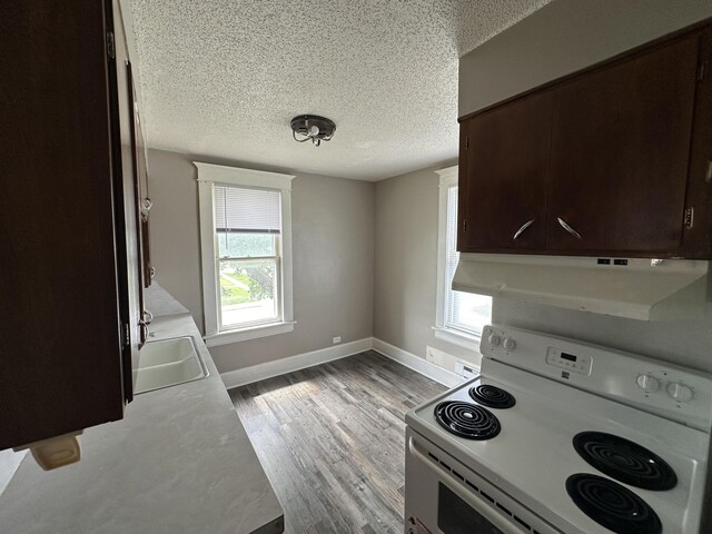 1230 N Grant Ave, Springfield, MO 65802 - kitchen featuring white electric stove, under cabinet range hood, dark brown cabinets, a sink, and a wealth of natural light