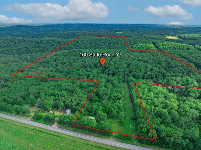 160 State Road Yy, Tunas MO, 65764 land for sale