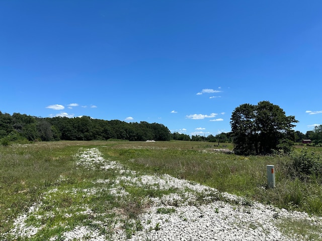 000 Britney Ln, Buffalo MO, 65622 land for sale