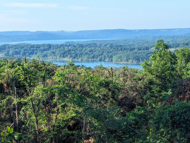 view of mountain feature featuring a water view