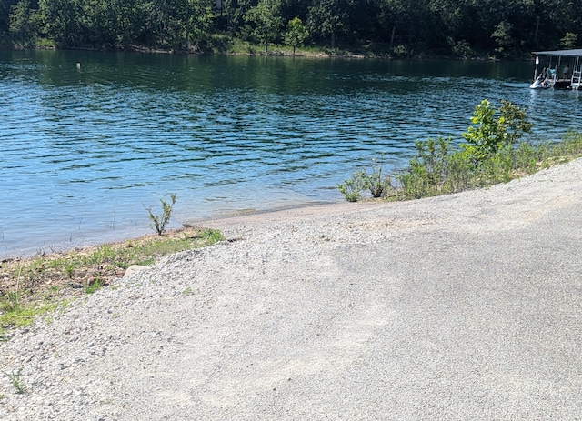 property view of water featuring a wooded view