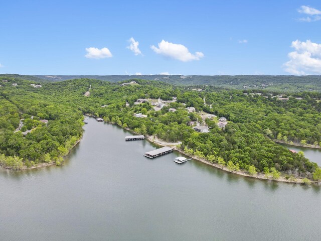 127 Kachina Trl, Branson West, MO 65737 - bird's eye view of a forest and a large body of water