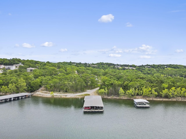 127 Kachina Trl, Branson West, MO 65737 - bird's eye view of a nearby body of water and a forest