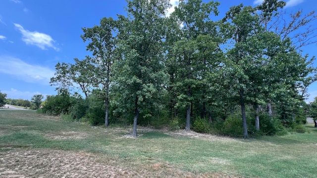 Listing photo 3 for LOT58 Forest Lake Dr, Branson West MO 65737