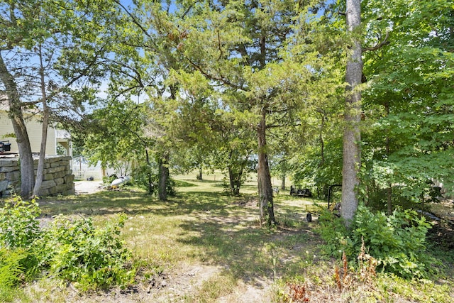 455 Edgewater Cir, Ridgedale, MO 65739 - photo 7