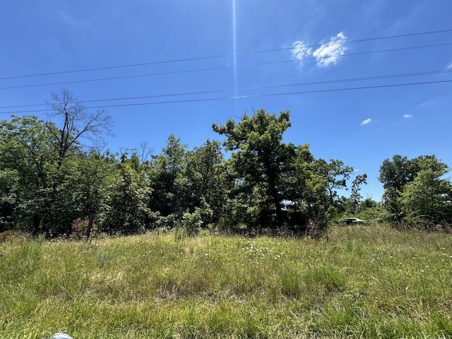 Tbd State Highway 14 E, Sparta MO, 65753 land for sale