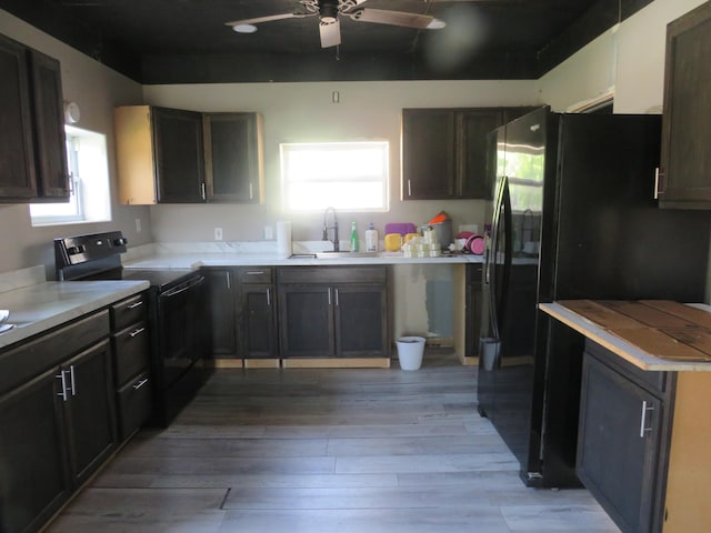 kitchen with light wood-type flooring, plenty of natural light, sink, and black appliances