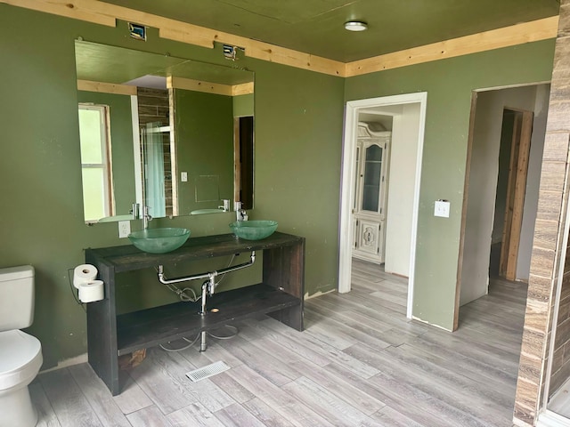 bathroom with vanity, a shower with door, toilet, and wood-type flooring