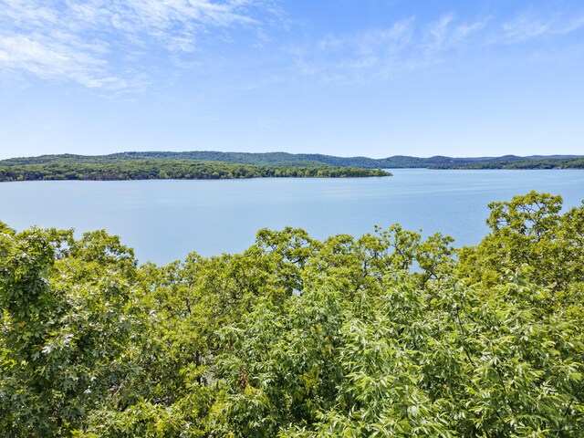 TBD Terrace Park Rd, Kimberling City, MO 65686